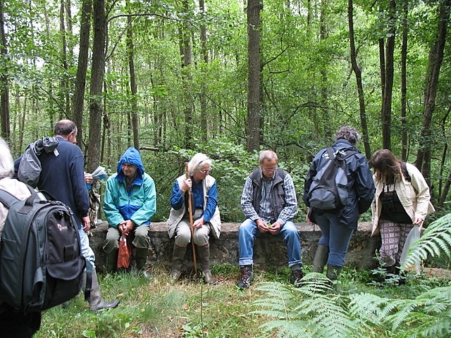 2007 07 Marais du Cerisaie 13